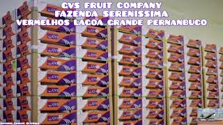 Fazenda Serenissima GVS FRUIT [upl. by Odlanyer]