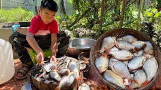 Yummy jackfruit cook with river fish  Jackfruit recipe  Chef Seyhak [upl. by Schnapp33]