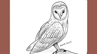 How to draw an OWL [upl. by Ahseket163]