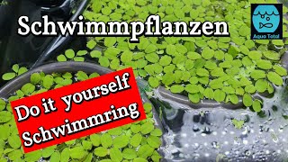 So hast du deine Schwimmpflanzen im Griff DIY Schwimmring für Aquarium Schwimmpflanzen selber bauen [upl. by Neelik]