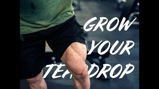 How To Train Your Inner Quads  Vastus Medialis quotThe Teardropquot [upl. by Long]