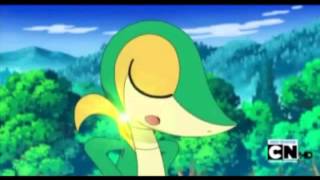 Snivy AMV Circus [upl. by Ahsotan]