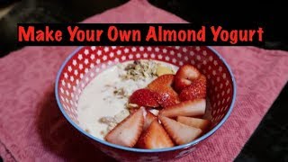 Make Your Own Almond Yogurt amp Save Money [upl. by Sayers]