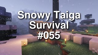 Minecraft Snowy Taiga Survival  055 [upl. by Brennen646]