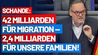 42 Milliarden für Migration und 24 Milliarden für unsere Familien Martin Reichardt  AfDFraktion [upl. by Noraa]