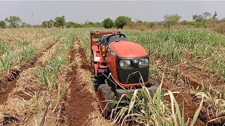 Kubota 21hp tractor4×4 mein tractorsugarcane agriculture kubota kubota21hp [upl. by Tannie330]