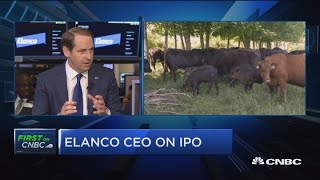 Elanco CEO on IPO animal health focus [upl. by Lauren]