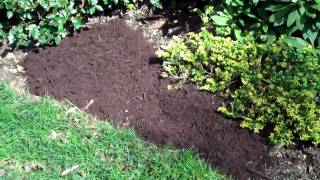 How the Pros spread Mulch [upl. by Avad867]