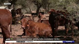 Concern over pesticide resistant ticks [upl. by Nai]