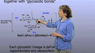 Glycan linkage  Carolyn Bertozzi Berkeley [upl. by Che]