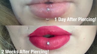 Vertical Labret Piercing  Swelling Pain Healing Time  Everything You Need To Know [upl. by Cardon]