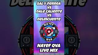 Sal y Perrea vs Dale Caliente vs Delincuente  SechJ BalvinDaddy Yankee ChimbalaNatti Natasha [upl. by Nadda400]