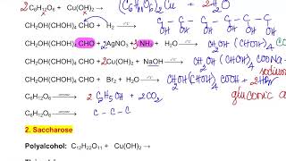 CÁC PHƯƠNG TRÌNH PHẢN ỨNG HÓA HỌC CỦA CARBOHYDRATE  HÓA HỌC 12 CHÂN TRỜI SÁNG TẠO [upl. by Ram]
