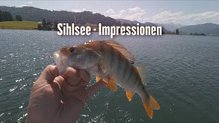 Angeln am Sihlsee  Impressionen mit uniquecatches icatchfish sihlsee berge sommer [upl. by Aleakim]