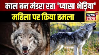 Bahraich Wolf Attack  बहराइच में आदमखोर भेड़िए ने महिला पर किया हमला  UP News  Latest News [upl. by Ielerol941]