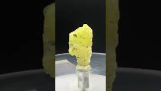 Rare 17 ct Brucite Specimen from Balochistan Pakistan for 15 trending shortvideo viralvideo [upl. by Akcinahs]