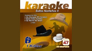 Payaso de Rodeo Karaoke Version [upl. by Janis]