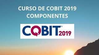 Componentes de cobit 2019 [upl. by Niamjneb]