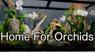 Making a Rehabilitation Terrarium for Orchids [upl. by Gert]