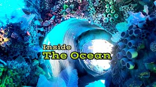 Inside The Ocean Theme [upl. by Oesile648]