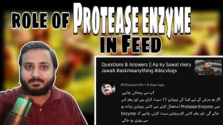 Feed Formulation my Protease Enzyme kia role play krta hy  Role of Protease Enzyme in Feed 🐓🐔🐤🥚 [upl. by Pennebaker]