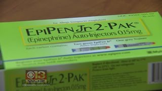 Epi Pen CEO Grilled on Capitol Hill [upl. by Ailama]