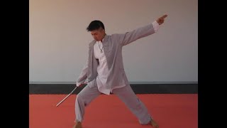 LongQuan Kung Fu Wushu Shuang Jie Gun Nunchakus Form  Slow Version by Sifu Claudius Chen [upl. by Akiehsal]