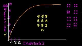 B7 Determine Vmax and Michaelis constant Km by graphical means and explain HL IB Chemistry [upl. by Ettevad692]