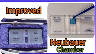 Improved Neubauer Chamber In Detail WBCRBC  Platelet Count Calculation [upl. by Nilpik140]