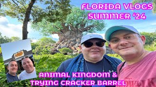 Florida Vlogs 24 Part 8  Animal Kingdom amp trying Cracker Barrel for the first time [upl. by Wasson891]