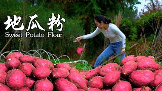 Sweet potato starch｜手工制作地瓜粉，这样做QQ弹弹真的巨好吃！！ [upl. by Ybloc]