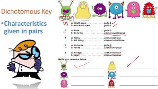 Taxonomy  Classification and Dichotomous Keys [upl. by Bittencourt877]