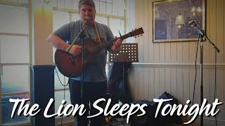 The Lion Sleeps Tonight Wimoweh Tight Fit  TheTokens  The Lion King Acoustic Guitar Cover [upl. by Ednew]