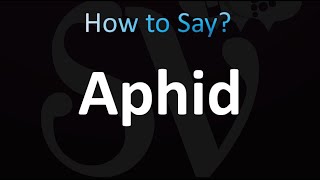 How to Pronounce Aphid Correctly [upl. by Iiette384]