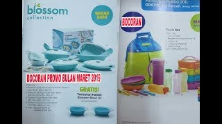 Bocoran Katalog Tupperware bulan Meret 2019  Tupperware Indonesia [upl. by Annala]