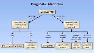 ASCO Zoledronic acid for treament of prostate cancer [upl. by Edgerton765]