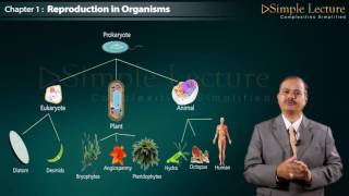 2nd PUC  Class 12 Chapter 1 Reproduction in Organism [upl. by Oderfliw]