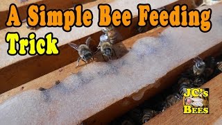 Feeding Bees Syrup With A Pump Up Sprayer [upl. by Julienne]