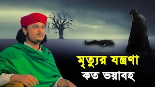 মৃত্যুর যন্ত্রণা কত ভয়াবহ । Qari Shamim Reza waz 2024 [upl. by Adnaram]