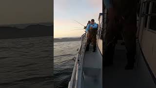 Do I Pass For A Deckhand charter fishing oregon saltwater pacificocean dockside pnw fish [upl. by Warfore]