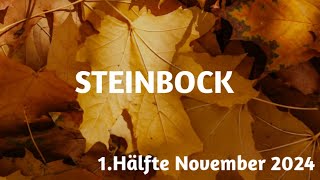 Steinbock 1 Hälfte Nov 2024  veränderte Zielsetzung [upl. by Eiznil]