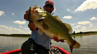 9 lb 8 oz Bass Caught on the Jackall Gantarel Jr  Swimbait Bass Fishing [upl. by Broderick]