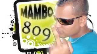 Big Show El Mambo Del Toto pam pam y pinocho WwWMambo809net by makiabelys [upl. by Llerryt896]