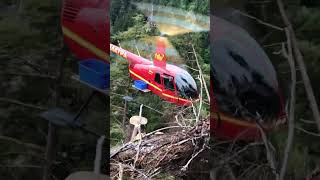 R44 Helicopter Logging Support SE Alaska Part 2 [upl. by Lari357]