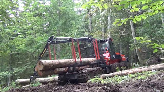 Macchine Forestali al lavoro filiera sostenibile [upl. by Osnola]