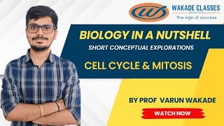 Cell Cycle amp Stages of Mitosis [upl. by Corwun]