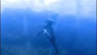 🇪🇬 🦈SharkAttack on diver  Attaque de requin sur un plongeur  Mer Rouge  Egypte  Octobre 2018 [upl. by Leryt789]