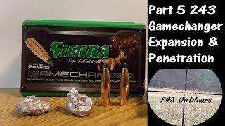 Part 5 243 90g Sierra Gamechanger Expansion amp Penetration Final Thoughts [upl. by Vlada]