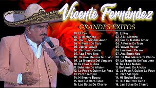 20 Vicente Fernandez Exitos Mix Rancheras Y Corridos Mexicanas💕💕 [upl. by Aerona54]