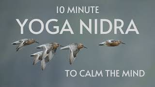 Calm The Mind in 10 Minutes Meditation [upl. by Anselmo]